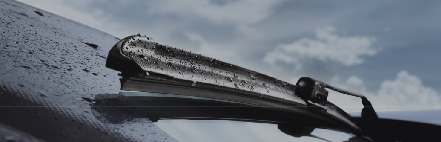 Maintenance y Fluids