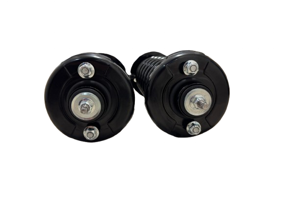 Rear Strut Assembly Pair LH & RH – FCS 3284918 – Fits Honda Accord 2013–2017 2.4L / 3.5L (Rear)